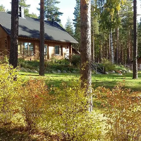 شاليه Mustikkametsa Chalet Sysmä